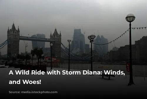 A Wild Ride with Storm Diana: Winds, Waves, and Woes!