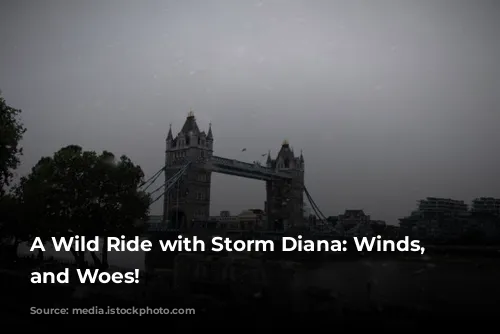 A Wild Ride with Storm Diana: Winds, Waves, and Woes!