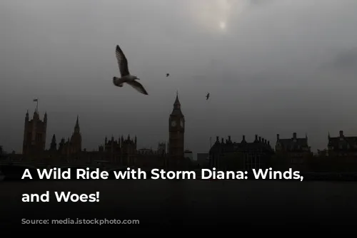 A Wild Ride with Storm Diana: Winds, Waves, and Woes!