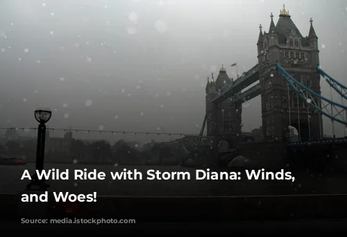 A Wild Ride with Storm Diana: Winds, Waves, and Woes!