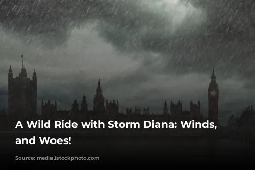 A Wild Ride with Storm Diana: Winds, Waves, and Woes!