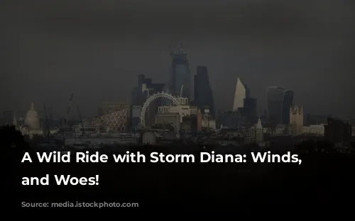 A Wild Ride with Storm Diana: Winds, Waves, and Woes!