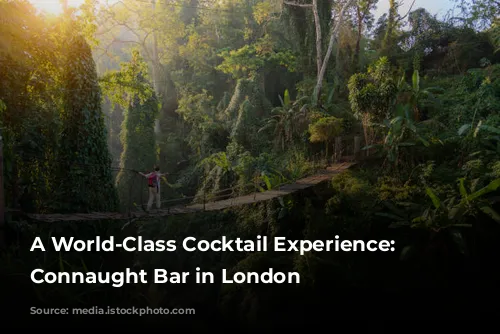 A World-Class Cocktail Experience: The Connaught Bar in London