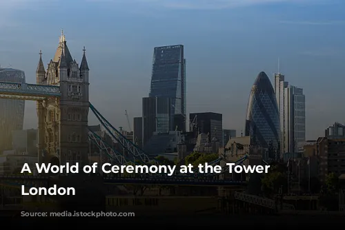 A World of Ceremony at the Tower of London