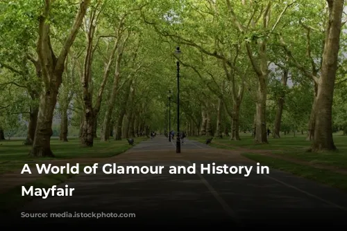 A World of Glamour and History in London's Mayfair