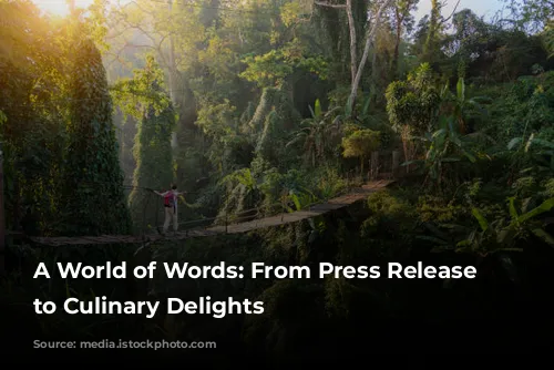 A World of Words: From Press Release Disasters to Culinary Delights