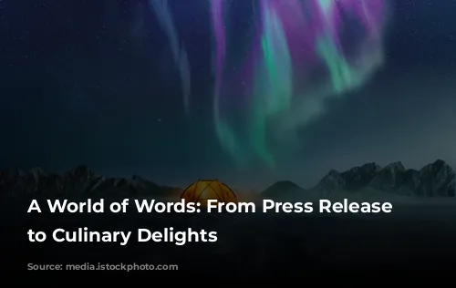 A World of Words: From Press Release Disasters to Culinary Delights