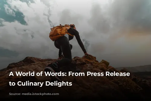 A World of Words: From Press Release Disasters to Culinary Delights