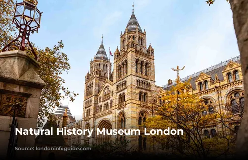 Natural History Museum London