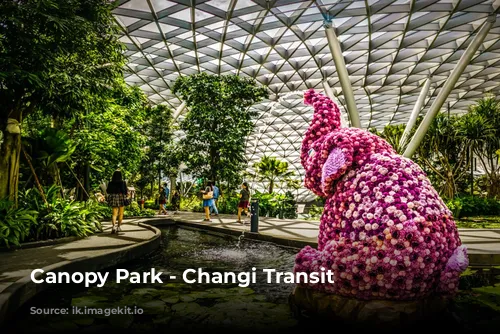 Canopy Park - Changi Transit