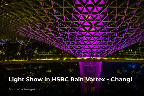 Light Show in HSBC Rain Vortex - Changi Transit