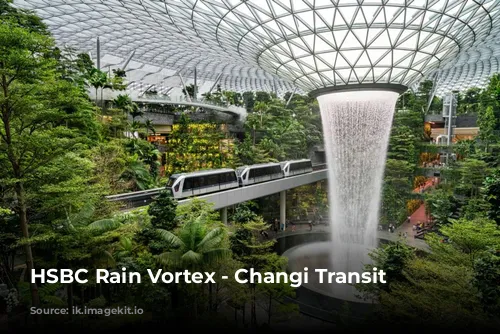 HSBC Rain Vortex - Changi Transit