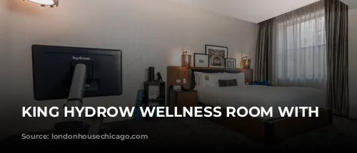 KING HYDROW WELLNESS ROOM WITH THERABODY