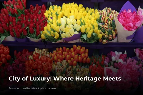 City of Luxury: Where Heritage Meets High-End