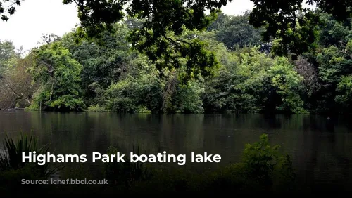 Highams Park boating lake