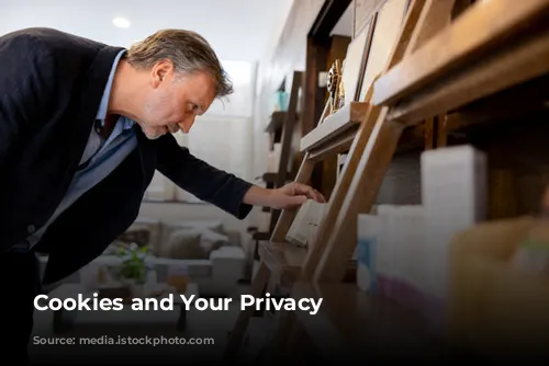 Cookies and Your Privacy