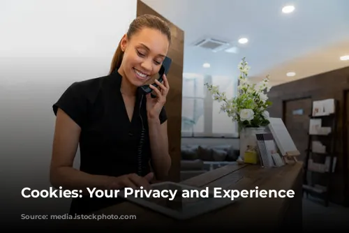 Cookies: Your Privacy and Experience