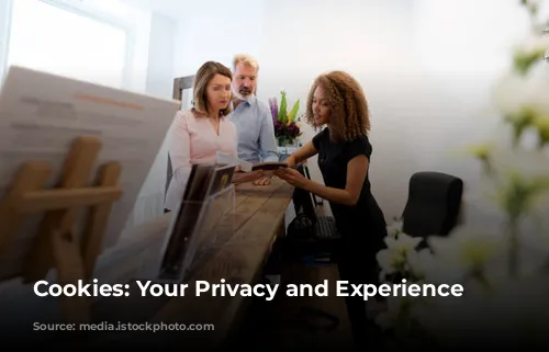 Cookies: Your Privacy and Experience