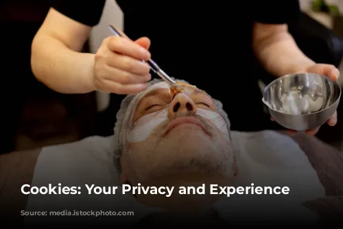 Cookies: Your Privacy and Experience