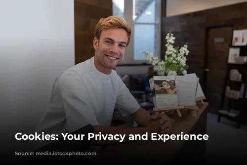 Cookies: Your Privacy and Experience