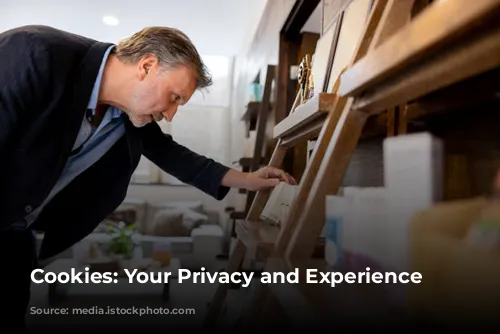 Cookies: Your Privacy and Experience