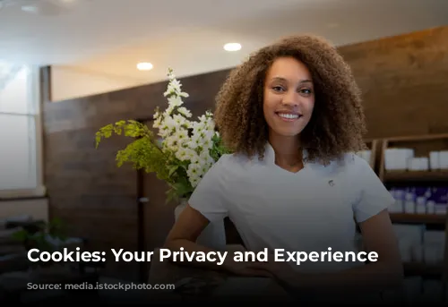 Cookies: Your Privacy and Experience