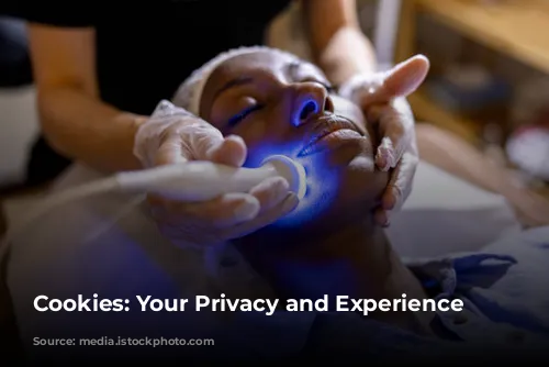 Cookies: Your Privacy and Experience