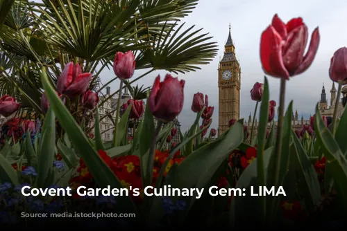 Covent Garden's Culinary Gem: LIMA Floral