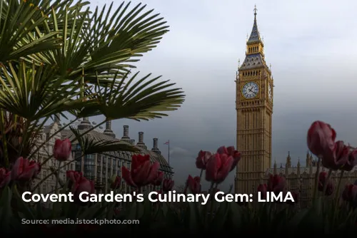 Covent Garden's Culinary Gem: LIMA Floral