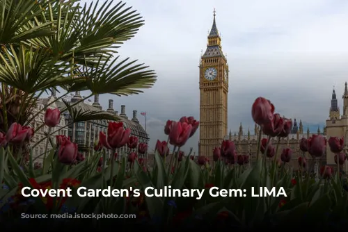 Covent Garden's Culinary Gem: LIMA Floral