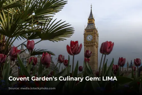 Covent Garden's Culinary Gem: LIMA Floral