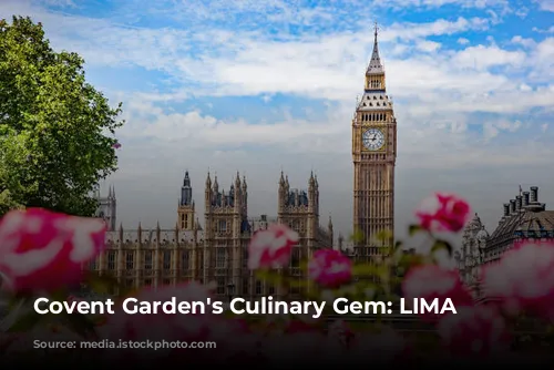 Covent Garden's Culinary Gem: LIMA Floral