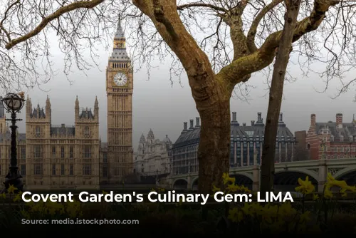 Covent Garden's Culinary Gem: LIMA Floral