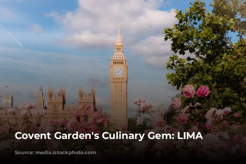 Covent Garden's Culinary Gem: LIMA Floral