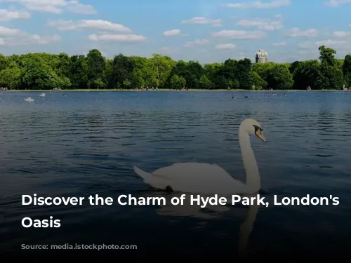 Discover the Charm of Hyde Park, London's Green Oasis