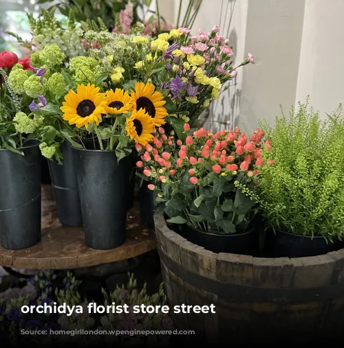 orchidya florist store street