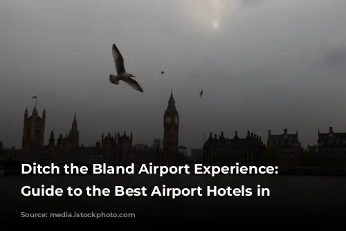 Ditch the Bland Airport Experience: Your Guide to the Best Airport Hotels in London