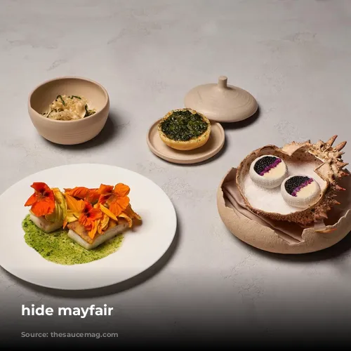 hide mayfair