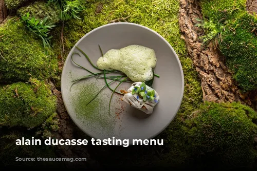 alain ducasse tasting menu