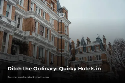 Ditch the Ordinary: Quirky Hotels in London