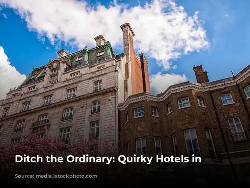 Ditch the Ordinary: Quirky Hotels in London