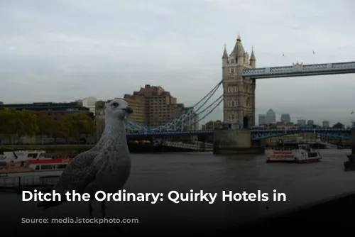 Ditch the Ordinary: Quirky Hotels in London