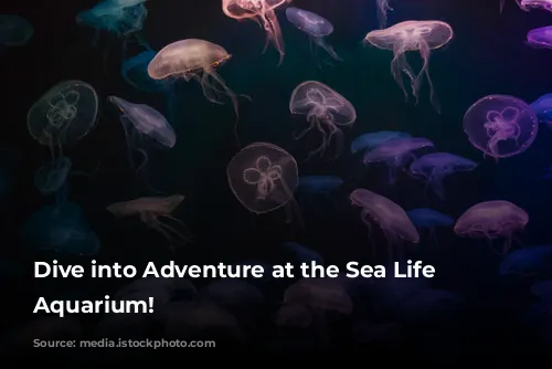 Dive into Adventure at the Sea Life London Aquarium!