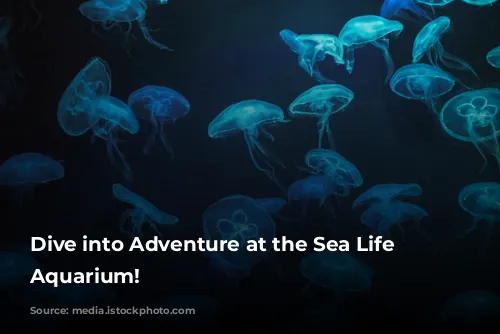 Dive into Adventure at the Sea Life London Aquarium!