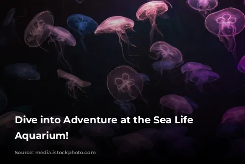 Dive into Adventure at the Sea Life London Aquarium!