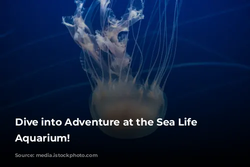 Dive into Adventure at the Sea Life London Aquarium!