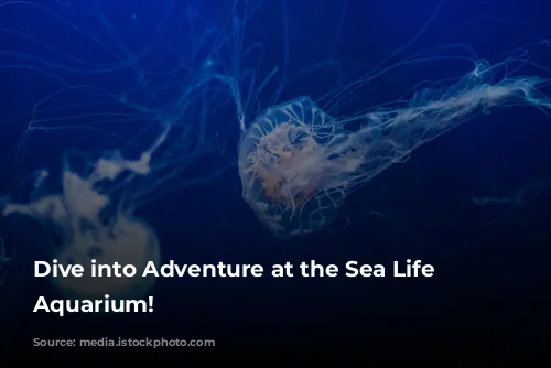 Dive into Adventure at the Sea Life London Aquarium!