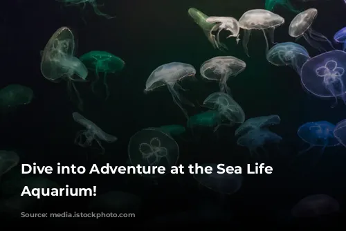 Dive into Adventure at the Sea Life London Aquarium!