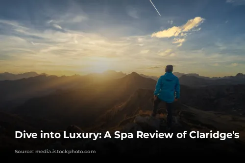 Dive into Luxury: A Spa Review of Claridge's