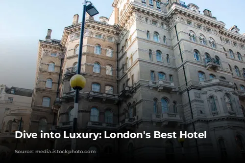 Dive into Luxury: London's Best Hotel Bars